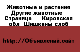 Животные и растения Другие животные - Страница 3 . Кировская обл.,Шишканы слоб.